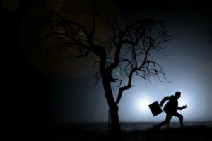 Definición de Evasión fiscal